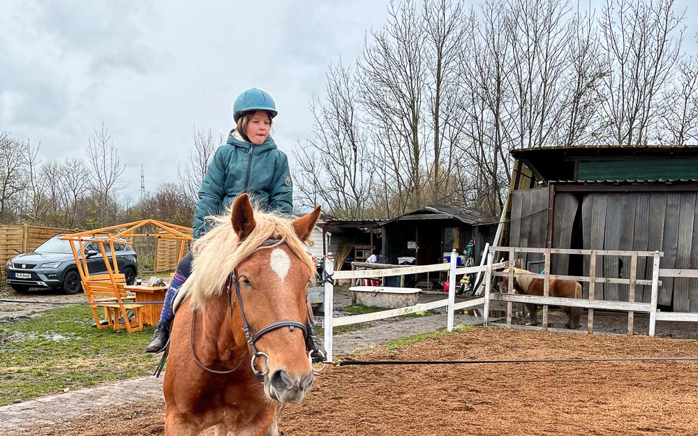 Reitschülerin sitzt auf dem Pferd Franz Xaver-Fendt und reitet unter Anleitung von Viktoria