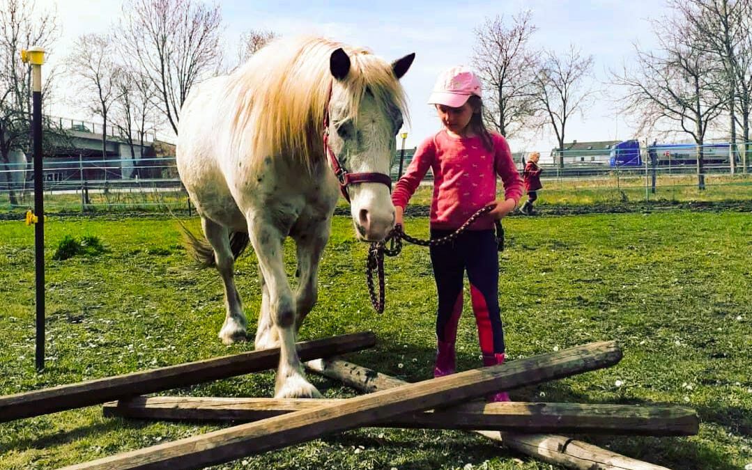 Ferienprogramm | Woche 3