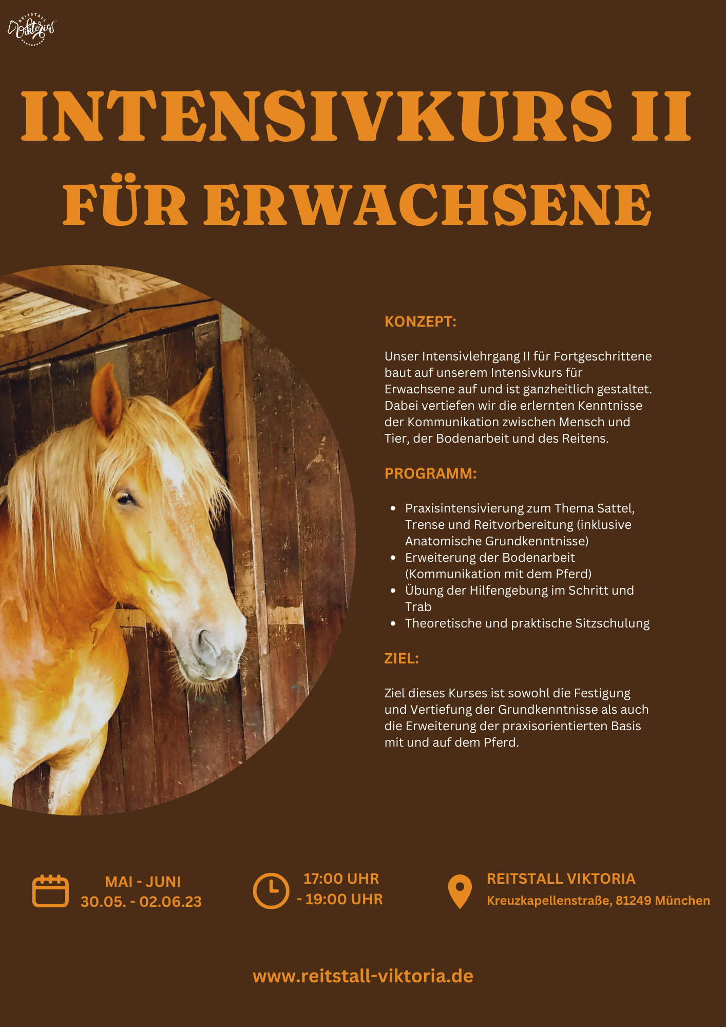 Intensivkurs für Erwachsene I+II(1) Intensivreitkurs für Erwachsene