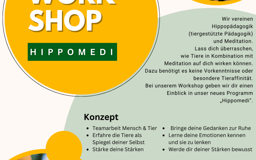Workshop Hippomedi (Vorstellungstag)