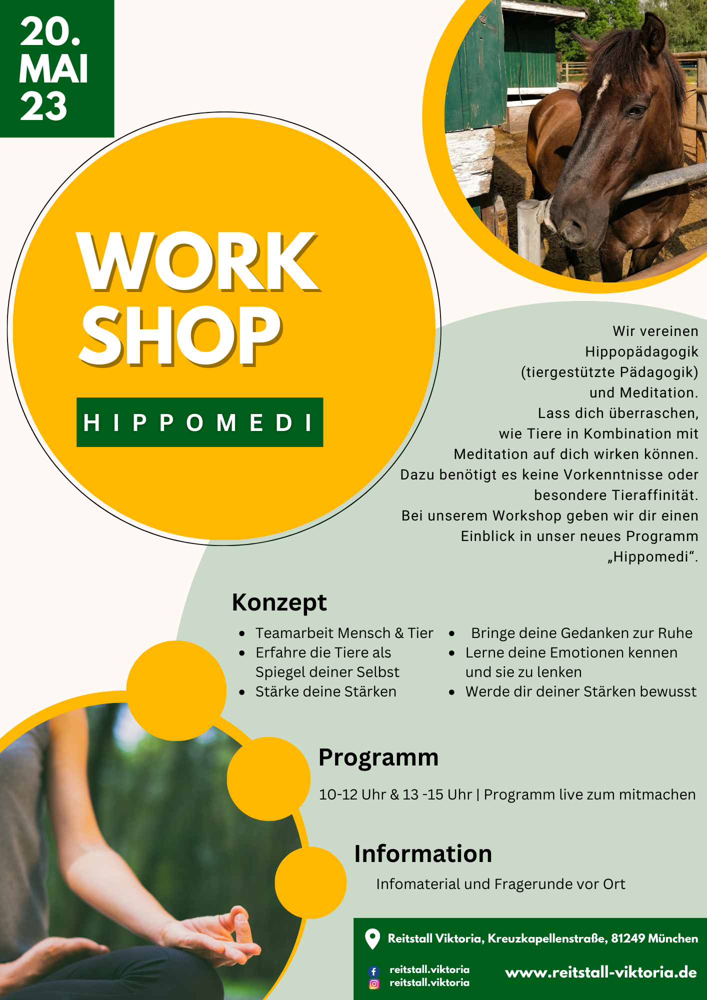 Workshop Hippomedi Hippomedi Workshop auf dem Reiterhof
