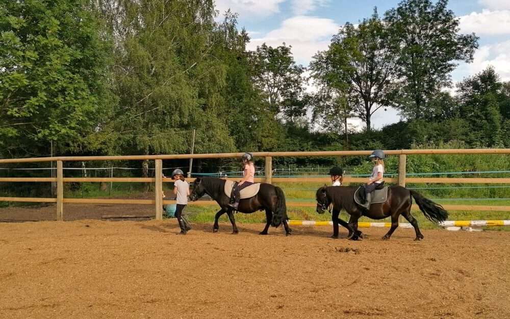 Reitschülerin sitzt auf dem Pferd Franz Xaver-Fendt und reitet unter Anleitung von Viktoria