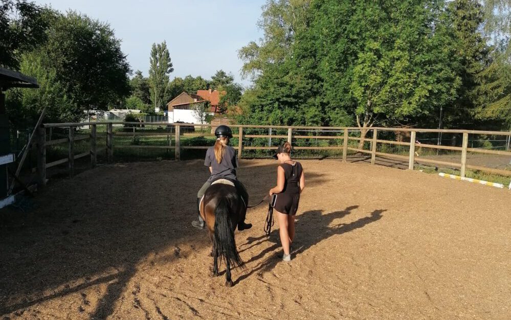 Reitschülerin sitzt auf dem Pferd Franz Xaver-Fendt und reitet unter Anleitung von Viktoria