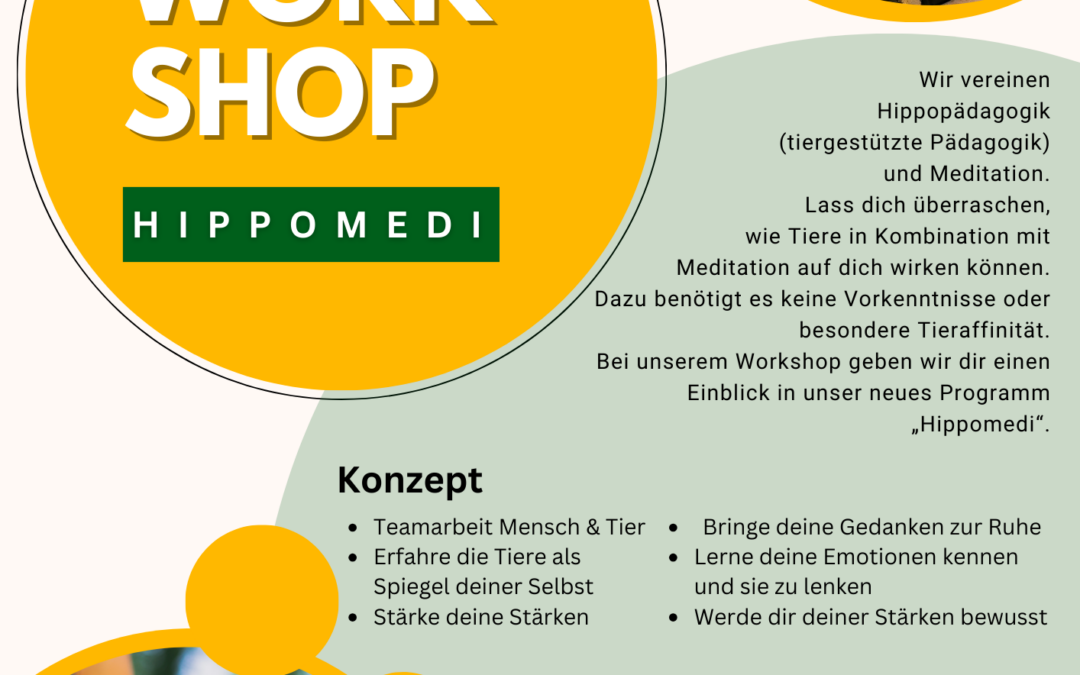 Workshop Hippomedi (Schnuppertag)