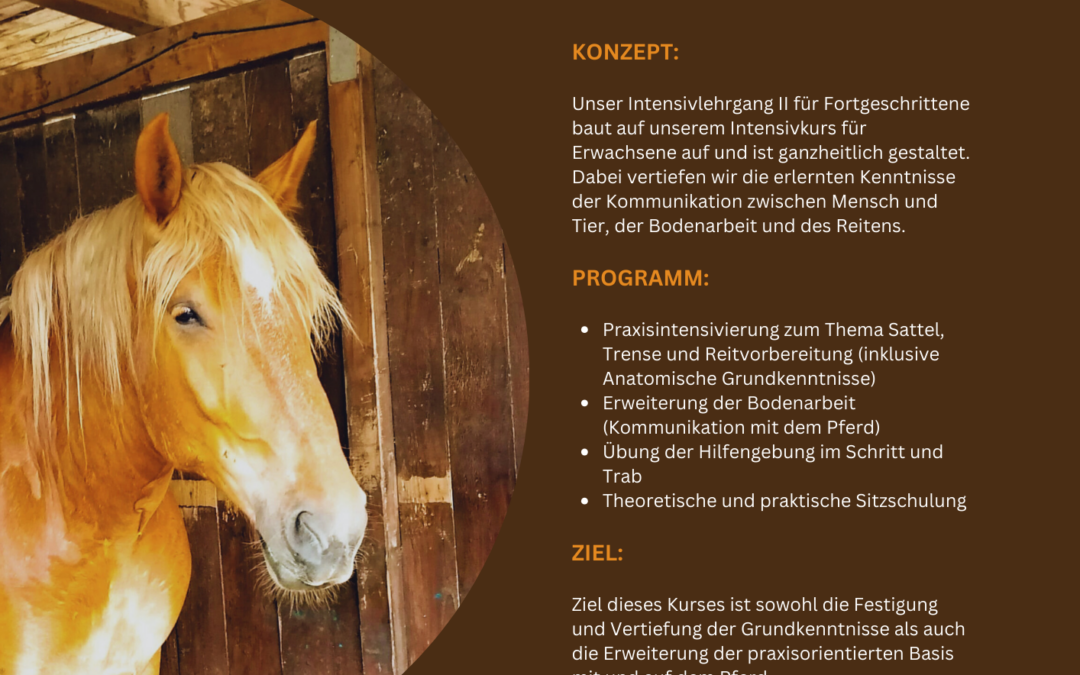 Intensivkurs für Erwachsene II (Herbst)